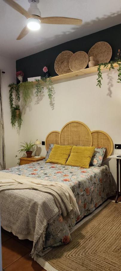 El 6 De Busquet Apartment Caceres Luaran gambar